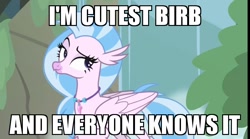 Size: 800x445 | Tagged: safe, edit, edited screencap, screencap, character:silverstream, species:hippogriff, birb, confidentially cute, cute, diastreamies, eyelashes, female, horsebird, image macro, jewelry, meme, necklace, proud, raised eyebrow, smug, solo, waterfall