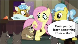 Size: 604x341 | Tagged: safe, edit, edited screencap, screencap, character:clementine, character:doctor fauna, character:fluttershy, character:sonic the hedgehog, species:bird, episode:fluttershy leans in, g4, my little pony: friendship is magic, adventures of sonic the hedgehog, comic sans, crossover, giraffe, ice pack, koala, lola the sloth, night, raccoon, sloth, sonic says, sonic the hedgehog (series), text, vet, veterinarian