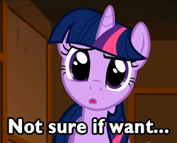 Size: 420x339 | Tagged: safe, edit, edited screencap, screencap, character:twilight sparkle, species:pony, species:unicorn, female, mare, not sure if want, reaction image, solo