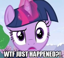 Size: 389x350 | Tagged: safe, edit, edited screencap, screencap, character:twilight sparkle, species:pony, species:unicorn, confused, female, mare, reaction image, solo, wtf