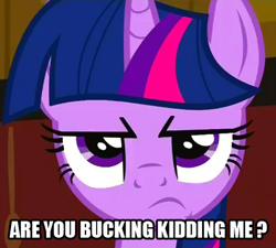 Size: 400x360 | Tagged: safe, edit, edited screencap, screencap, character:twilight sparkle, species:pony, species:unicorn, annoyed, are you kidding, female, mare, reaction image, solo