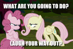 Size: 1019x681 | Tagged: safe, edit, edited screencap, screencap, character:fluttershy, character:mean fluttershy, character:mean pinkie pie, episode:the mean 6, g4, my little pony: friendship is magic, clone, duo, image macro, meme, text