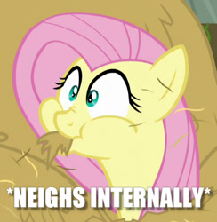 Size: 467x478 | Tagged: safe, edit, edited screencap, screencap, character:fluttershy, species:pony, episode:the hooffields and mccolts, g4, my little pony: friendship is magic, cropped, female, hay, horses doing horse things, image macro, meme, neigh, silly, silly pony, solo, text, x internally