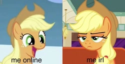 Size: 1125x579 | Tagged: safe, edit, edited screencap, screencap, character:applejack, episode:sonic rainboom, episode:the saddle row review, g4, my little pony: friendship is magic, applejack is not amused, cropped, happy, irl, me irl, meme, photo, solo, unamused, unimpressed