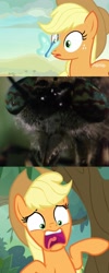 Size: 1008x2528 | Tagged: safe, edit, edited screencap, screencap, character:applejack, species:earth pony, species:pony, episode:sounds of silence, g4, my little pony: friendship is magic, butterfly, close-up, clothing, crossover, female, fly, hat, insect, mare, meme, nickelodeon, open mouth, parody, scared, screaming, spongebob squarepants, wormy