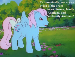 Size: 676x507 | Tagged: safe, edit, edited screencap, screencap, character:wind whistler, episode:mish mash melee, g1, my little pony 'n friends, bow, cropped, dialogue, op is a duck (reaction image), reaction image, sesquipedalian loquaciousness, solo, tail bow