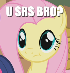 Size: 455x475 | Tagged: safe, edit, edited screencap, screencap, character:fluttershy, episode:a bird in the hoof, g4, my little pony: friendship is magic, :t, cropped, image macro, meme, question, reaction image, solo focus, srsly, text