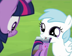 Size: 1274x1006 | Tagged: safe, edit, edited screencap, screencap, character:cotton cloudy, character:twilight sparkle, character:twilight sparkle (alicorn), species:alicorn, species:pony, episode:trade ya, g4, my little pony: friendship is magic, crazed fan, cropped, cute, duo, not creepy, picture, plot, smiling, twibutt