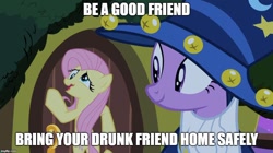 Size: 888x499 | Tagged: safe, edit, edited screencap, screencap, character:fluttershy, character:twilight sparkle, episode:luna eclipsed, g4, my little pony: friendship is magic, clothing, costume, derp, duo, meme, nightmare night costume, public service announcement, star swirl the bearded costume