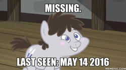Size: 600x337 | Tagged: safe, edit, edited screencap, screencap, character:truffle shuffle, species:earth pony, species:pony, episode:ponyville confidential, g4, my little pony: friendship is magic, colt, image macro, male, meme, missing, text