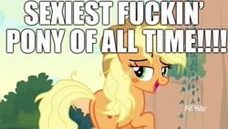 Size: 1920x1080 | Tagged: safe, edit, edited screencap, screencap, character:applejack, species:pony, episode:sounds of silence, g4, my little pony: friendship is magic, applebutt, cute, excessive exclamation marks, female, image macro, lidded eyes, meme, messy mane, peaks of peril, plot, sexy, solo, stupid sexy applejack, text, truth, vulgar