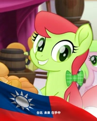 Size: 581x725 | Tagged: safe, edit, edited screencap, screencap, character:peachy sweet, my little pony: the movie (2017), apple family member, chinese, get, index get, republic of china, solo focus, taiwan