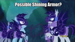 Size: 648x364 | Tagged: safe, edit, edited screencap, screencap, character:rainbow dash, species:bat pony, species:pony, episode:the cutie re-mark, alternate timeline, armor, caption, grainy, hoof shoes, image macro, implied shining armor, nightmare takeover timeline, text, wrong
