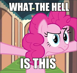 Size: 502x474 | Tagged: safe, edit, edited screencap, screencap, character:pinkie pie, species:earth pony, species:pony, episode:mmmystery on the friendship express, g4, my little pony: friendship is magic, bipedal, female, frown, mare, reaction image, solo, what is this
