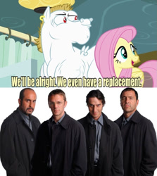 Size: 637x715 | Tagged: safe, edit, edited screencap, screencap, character:fluttershy, species:pony, episode:rainbow falls, g4, my little pony: friendship is magic, argentina, exploitable meme, looking at you, los simuladores, meme, replacement meme, snow, snowflake