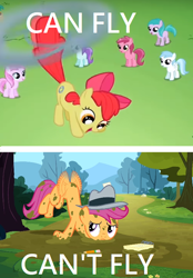 Size: 464x668 | Tagged: safe, edit, edited screencap, screencap, character:apple bloom, character:scootaloo, species:pegasus, species:pony, episode:ponyville confidential, episode:the cutie pox, g4, my little pony: friendship is magic, abuse, applecopter, caption, everyone but scootaloo can fly, fake cutie mark, image macro, loop-de-hoop, sad, scootabuse, scootaloo can't fly, tailcopter, text
