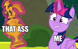 Size: 849x540 | Tagged: safe, edit, edited screencap, screencap, character:twilight sparkle, character:twilight sparkle (alicorn), species:alicorn, species:pony, episode:surf and/or turf, g4, my little pony: friendship is magic, caption, female, image macro, lip bite, mare, meme, smiling, solo, text, trophy
