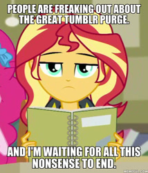 Size: 600x702 | Tagged: safe, edit, edited screencap, screencap, character:sunset shimmer, episode:the finals countdown, g4, my little pony: equestria girls, my little pony:equestria girls, caption, image macro, meme, op is a duck, op is trying to start shit, text, tumblr 2018 nsfw purge, tumblr drama