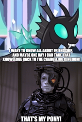 Size: 800x1183 | Tagged: safe, edit, edited screencap, screencap, character:thorax, species:changeling, episode:the times they are a changeling, g4, my little pony: friendship is magic, borg, caption, comparison, hugh, star trek, three of five