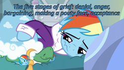 Size: 640x360 | Tagged: safe, edit, edited screencap, screencap, character:rainbow dash, character:tank, episode:tanks for the memories, g4, my little pony: friendship is magic, bathrobe, caption, cards against humanity, clothing, grieving, image macro, rainbow dash slippers, robe, sad, text