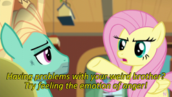 Size: 640x360 | Tagged: safe, edit, edited screencap, screencap, character:fluttershy, character:zephyr breeze, episode:flutter brutter, g4, my little pony: friendship is magic, angry, caption, cards against humanity, duo, fluttershy's cottage, image macro, text