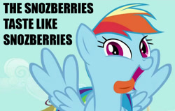 Size: 960x609 | Tagged: safe, edit, edited screencap, screencap, character:rainbow dash, episode:a bird in the hoof, g4, my little pony: friendship is magic, female, image macro, looking at you, reference, solo, tongue out, willy wonka
