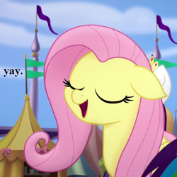 Size: 429x429 | Tagged: safe, edit, edited screencap, screencap, character:fluttershy, character:rainbow dash, character:rarity, species:pegasus, species:pony, my little pony: the movie (2017), canterlot, cropped, cute, eyes closed, female, mare, pennant, reaction image, shyabetes, solo focus, yay