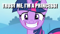 Size: 1600x900 | Tagged: safe, edit, edited screencap, screencap, character:twilight sparkle, character:twilight sparkle (alicorn), species:alicorn, species:pony, episode:to where and back again, g4, my little pony: friendship is magic, awkward smile, bronybait, caption, female, image macro, it's a trap, nervous, poker face, solo, text