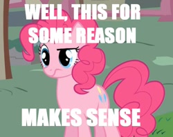 Size: 752x598 | Tagged: safe, edit, edited screencap, screencap, character:pinkie pie, species:earth pony, species:pony, caption, confused, female, frown, mare, solo