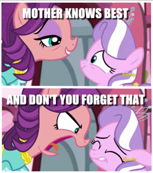 Size: 639x721 | Tagged: safe, edit, edited screencap, screencap, character:diamond tiara, character:spoiled rich, species:earth pony, species:pony, episode:crusaders of the lost mark, g4, my little pony: friendship is magic, abuse, bad parenting, bags under eyes, caption, equestria's worst mother, image macro, spoiled bitch, text, tiarabuse