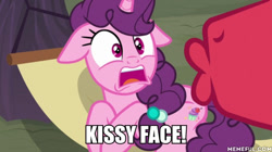 Size: 600x337 | Tagged: safe, edit, edited screencap, screencap, character:big mcintosh, character:sugar belle, episode:hard to say anything, g4, my little pony: friendship is magic, caption, hammock, i'm your biggest fanatic, image macro, scared, spongebob squarepants, text