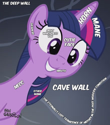 Size: 944x1080 | Tagged: safe, edit, edited screencap, screencap, character:twilight sparkle, character:twilight sparkle (alicorn), species:alicorn, species:pony, episode:a health of information, g4, my little pony: friendship is magic, ben garrison, bust, captain obvious, cave, cute, dark background, ears, eye, eyes, female, grin, horn, label, mane, mare, necc, neck, philosophy, purple, smiling, solo, squee, text, twiabetes