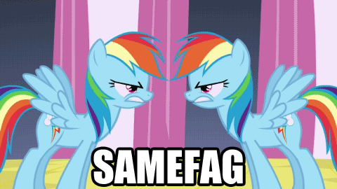 Size: 480x270 | Tagged: safe, edit, edited screencap, screencap, character:rainbow dash, species:pegasus, species:pony, episode:a canterlot wedding, g4, my little pony: friendship is magic, animated, disguise, disguised changeling, duo, female, gif, image macro, mare, samefag
