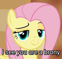 Size: 713x681 | Tagged: safe, edit, edited screencap, screencap, character:fluttershy, species:pegasus, species:pony, episode:viva las pegasus, g4, my little pony: friendship is magic, brony, caption, female, image macro, looking at you, smug, solo, talking to viewer, text, text edit