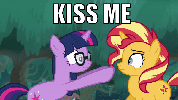 Size: 600x337 | Tagged: safe, edit, edited screencap, screencap, character:sunset shimmer, character:twilight sparkle, character:twilight sparkle (scitwi), species:pony, species:unicorn, ship:scitwishimmer, ship:sunsetsparkle, equestria girls:spring breakdown, g4, my little pony: equestria girls, my little pony:equestria girls, spoiler:eqg series (season 2), animated, boop, caption, cutie mark, equestria girls ponified, female, gif, glasses, image macro, impact font, le lenny face, lesbian, mare, nose to nose, noseboop, ponified, scrunchy face, shipping, shipping fuel, text, unicorn sci-twi, vector