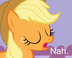Size: 394x322 | Tagged: safe, edit, edited screencap, screencap, character:applejack, episode:suited for success, g4, my little pony: friendship is magic, caption, female, image macro, nah, reaction image, solo, text