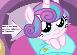 Size: 1008x720 | Tagged: safe, edit, edited screencap, part of a set, screencap, character:princess flurry heart, episode:the times they are a changeling, g4, my little pony: friendship is magic, arrow, baby blanket, captain obvious, cropped, cute, flurrybetes, text