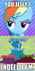 Size: 236x469 | Tagged: safe, edit, edited screencap, screencap, character:hugh jelly, character:rainbow dash, episode:hearts and hooves day, g4, my little pony: friendship is magic, caption, comic, food, funny, image macro, jelly, pun, screencap comic, text