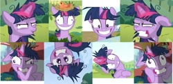 Size: 1383x676 | Tagged: safe, edit, edited screencap, screencap, character:twilight sparkle, species:bird, species:pony, species:unicorn, episode:lesson zero, g4, my little pony: friendship is magic, bird nest, collage, crazy face, faec, female, floppy ears, golden oaks library, insanity, nest, smiling, solo, twilight snapple