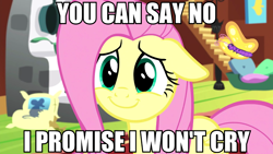 Size: 1280x720 | Tagged: safe, edit, edited screencap, screencap, character:fluttershy, episode:fluttershy leans in, g4, my little pony: friendship is magic, blatant lies, cute, female, shyabetes, smiling, solo, text, this ended in tears, this will end in tears