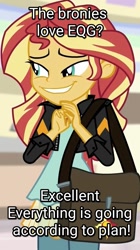 Size: 566x1014 | Tagged: safe, edit, edited screencap, screencap, character:sunset shimmer, equestria girls:mirror magic, g4, my little pony: equestria girls, my little pony:equestria girls, spoiler:eqg specials, bag, brony, caption, cropped, evil grin, excellent, female, grin, handbag, image macro, nasty, smiling, text, text edit