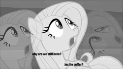 Size: 600x338 | Tagged: safe, edit, edited screencap, screencap, character:fluttershy, species:pegasus, species:pony, episode:yakity-sax, g4, my little pony: friendship is magic, discovery family logo, meme, metal gear, shocked, text, zoom layer