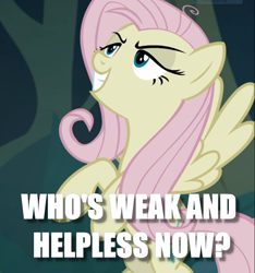 Size: 876x935 | Tagged: safe, edit, edited screencap, screencap, character:fluttershy, character:mean fluttershy, species:pegasus, species:pony, episode:the mean 6, g4, my little pony: friendship is magic, caption, clone, female, image macro, mare, meme, solo, text