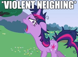 Size: 1247x918 | Tagged: safe, edit, edited screencap, screencap, character:twilight sparkle, character:twilight sparkle (unicorn), species:pony, species:unicorn, episode:lesson zero, g4, my little pony: friendship is magic, caption, faec, female, image macro, mare, meme, messy mane, neigh, neighing, solo, text, twilight snapple
