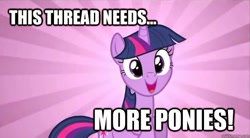 Size: 625x345 | Tagged: safe, edit, edited screencap, screencap, character:twilight sparkle, character:twilight sparkle (unicorn), species:pony, species:unicorn, /mlp/, episode:sweet and elite, g4, my little pony: friendship is magic, caption, female, happy, image macro, impact font, mare, needs more ponies, smiling, solo, sunburst background, text