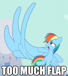 Size: 500x561 | Tagged: safe, edit, edited screencap, screencap, character:rainbow dash, episode:magic duel, g4, my little pony: friendship is magic, giant wing, image macro