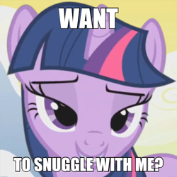 Size: 600x600 | Tagged: safe, edit, edited screencap, screencap, character:twilight sparkle, character:twilight sparkle (unicorn), species:pony, species:unicorn, bedroom eyes, bronybait, caption, cute, female, image macro, looking at you, meme, smiling, snuggles?, solo, text, twiabetes