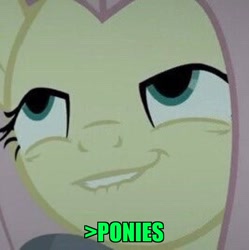 Size: 801x804 | Tagged: safe, edit, edited screencap, screencap, character:fluttershy, species:pony, episode:scare master, g4, my little pony: friendship is magic, 1000 years in photoshop, brony, caption, cropped, faec, greentext, image macro, impact font, in-universe pegasister, lidded eyes, lip bite, meme, mfw, so much pony, text, zoomed in