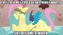 Size: 1280x720 | Tagged: safe, edit, edited screencap, screencap, character:discord, species:draconequus, episode:discordant harmony, g4, my little pony: friendship is magic, caption, clothing, costume, couch, disguise, fluttershy suit, glasses, happy, image macro, impact font, male, meme, shitposting, solo, text, they told me, waifu, weird fetish