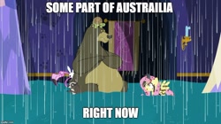 Size: 888x499 | Tagged: safe, edit, edited screencap, screencap, character:angel bunny, character:fluttershy, character:harry, episode:every little thing she does, g4, my little pony: friendship is magic, australia, bear, caption, centipede, flamingo, flood, image macro, impact font, meme, raccoon, rain, rat, regular show, rigby, right now, spider, text, tortoise